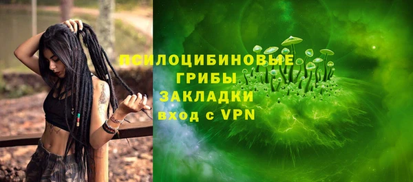 мдпв Лиски