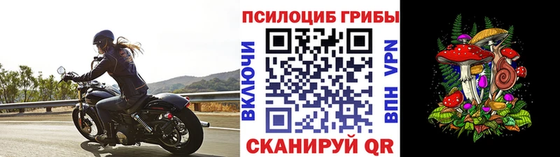 Купить где  Новоузенск  Псилоцибиновые грибы Cubensis 